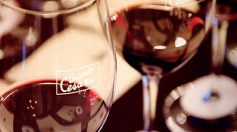 Wine tours &amp; Experience