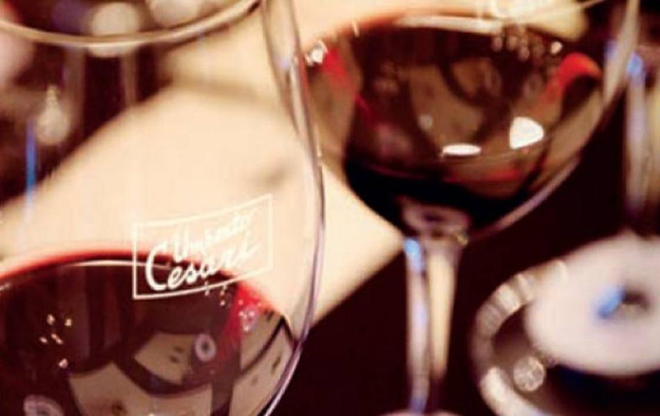 Wine tours &amp; Experience