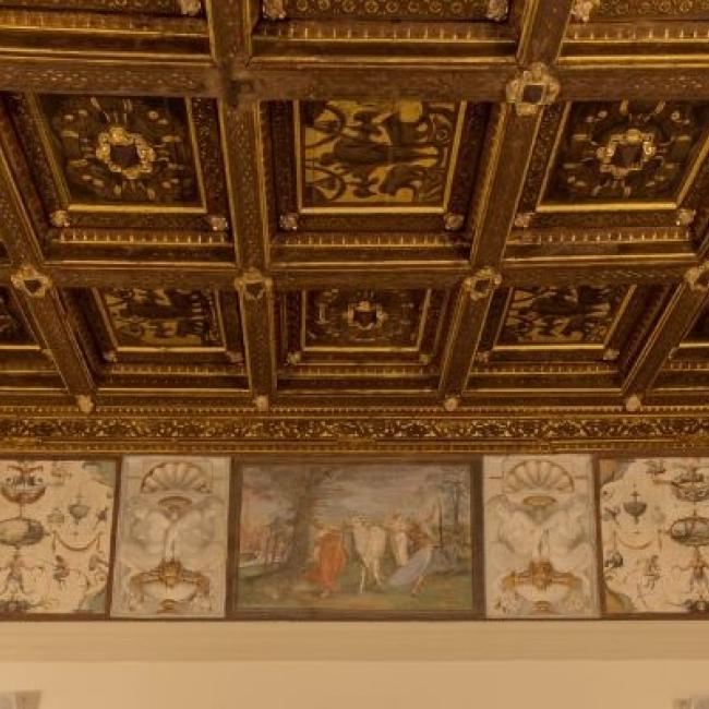 Rinascimento a Bologna | Renaissance in Bologna